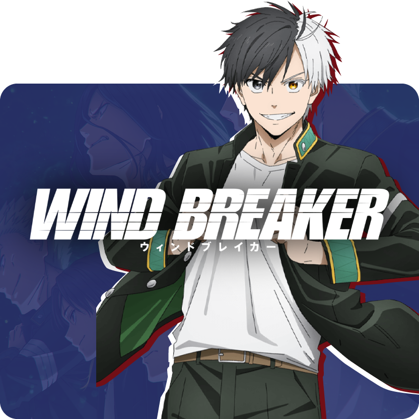 Wind Breaker